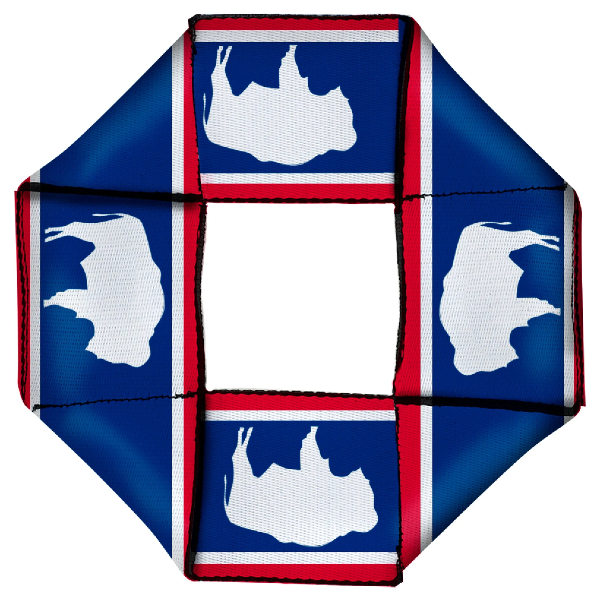 Dog Toy Squeaky Octagon Flyer - Wyoming Flags Bison Silhouette