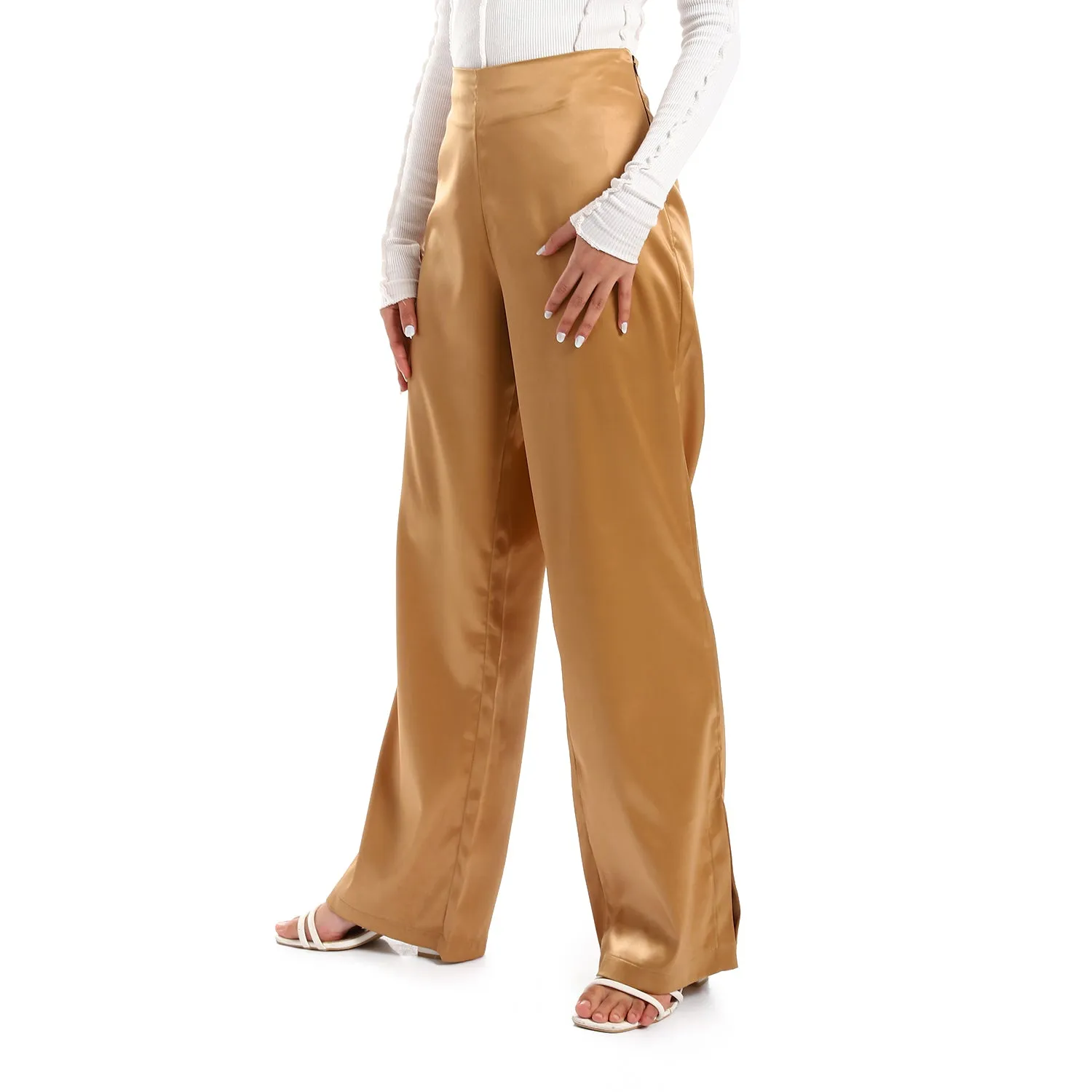 Plain Silver Statement Plain Women Silk Pants