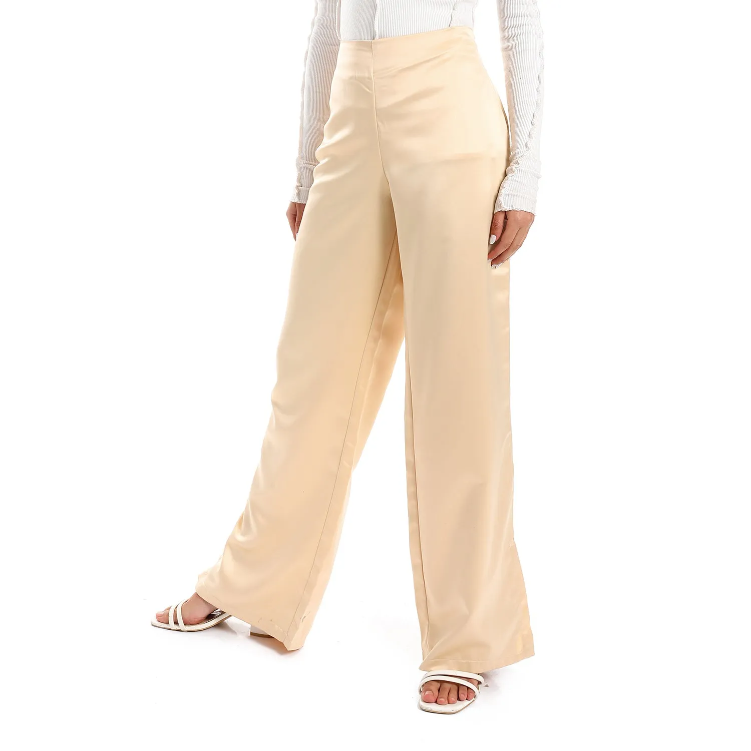 Plain Silver Statement Plain Women Silk Pants