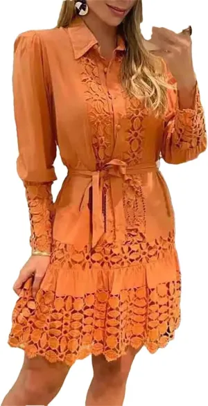Women's Spring Hollow Out Floral Solid Color Casual Sexy Lace Patch Shirt Dress Mini Dress